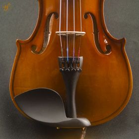 Violino Erudithus Série Iniciante YV100